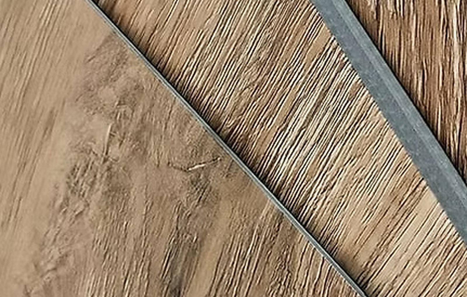 Catalog cover image